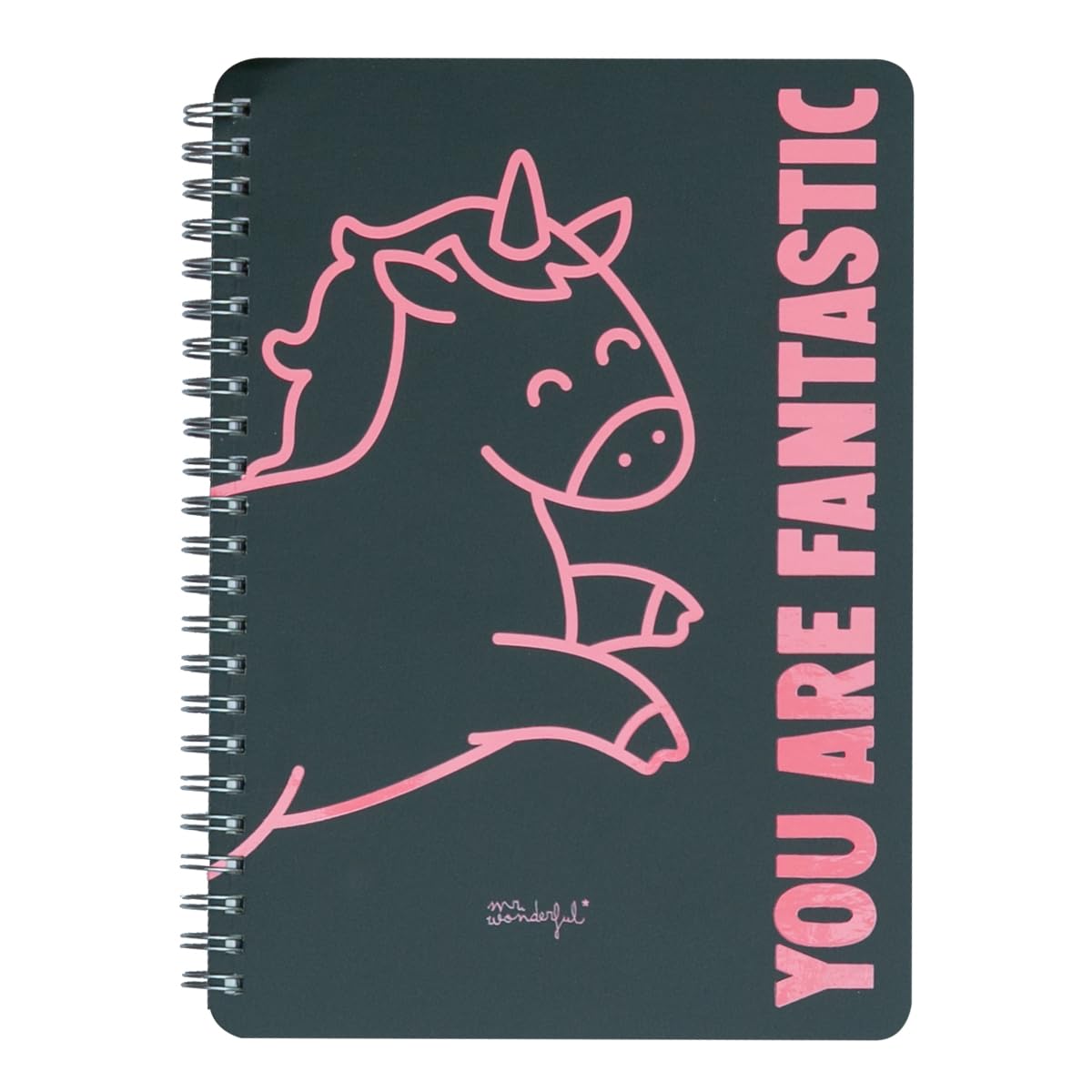 Mr. Wonderful Black unicorn a5 notebook you are fantastic