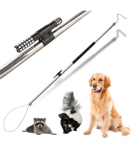 Amazon.com: REAYEAXN 52'' Alligator Catch Pole Extra Long Control Tool  Capture Noose Stainless Steel Catching and Releasing Trap for Dogs Wolves  Goats Catching Game Finders : Patio, Lawn & Garden