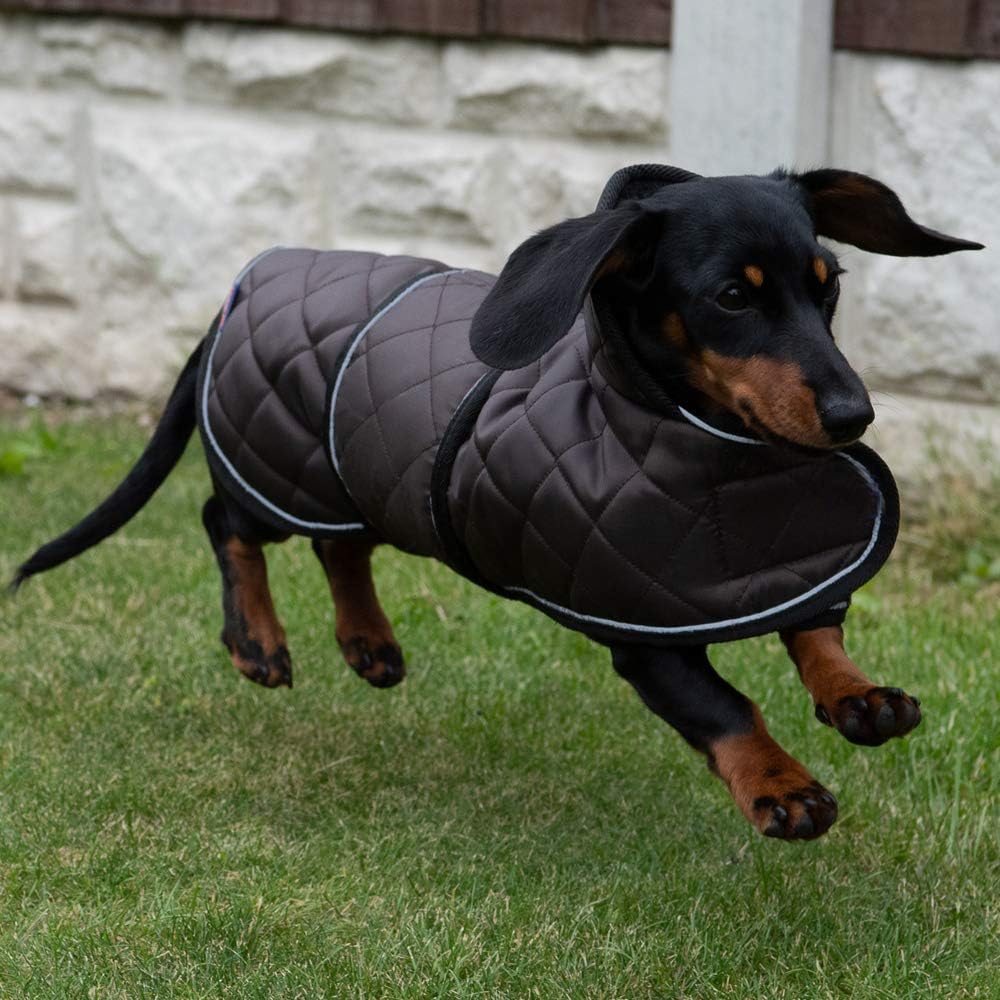 Geyecete Warm Thermal Quilted Dachshund Coat, Dog Winter Coat with Warm Fleece Lining - Image 3