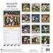 American Pit Bull Terrier Calendar 2017 - Dog Breed Calendars - 2016 - 2017 wall calendars - 16 Month by Avonside