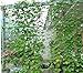 Amgate Nylon Trellis Netting Plant Support for Climbing Plants, Vine Trellis Net, 2.95Ft 5.9Ft