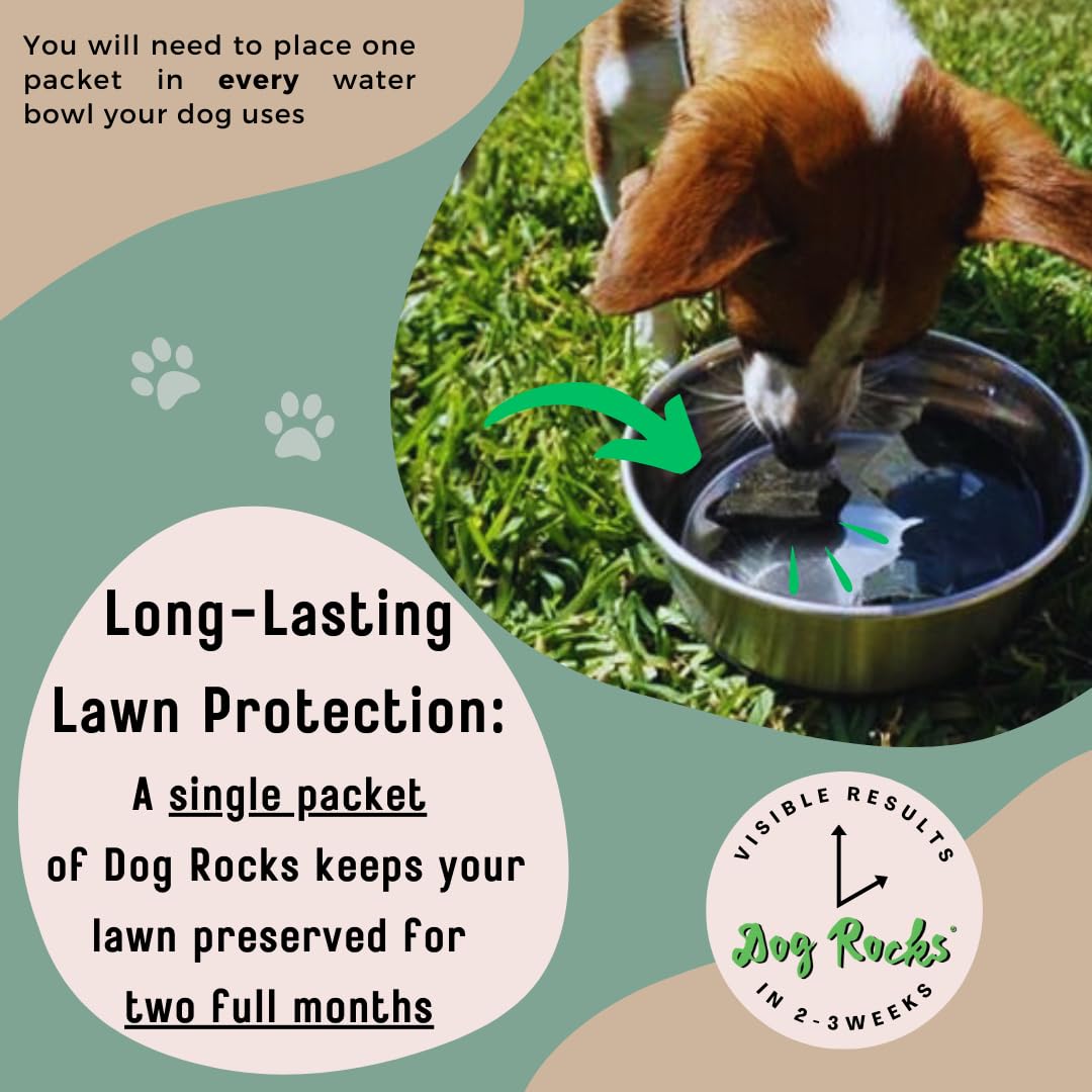 Dog Rocks Dog Pee Grass Neutralizer For Green Grass In 35 Weeks Dog