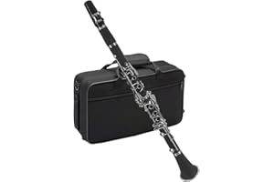 Clarinet ABS Bb Binocular Clarinet with 10 Reeds Cleaning Cloth Gloves Scre River Bracket Handbag Cleaning Brush Professional