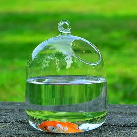 Caidud Appendere Vasi Di Vetro Trasparenti Acquario Di Pesci Serbatoi Fatti A Mano Decorazione Acquario Creare Atmosfera Rinfrescante In Casa Amazon It Casa E Cucina