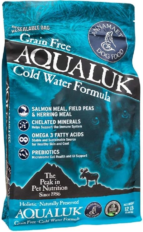 black poodle puppies for sale near me