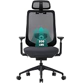 COLAMY Ergonomic Mesh Office Chair,High Back Computer Executive Desk Chair,Lumbar Support with Adjustable Headrest and 4D Arms, Slide Seat, Tilt Lock-Black