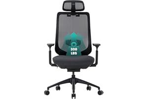 COLAMY Ergonomic Mesh Office Chair,High Back Computer Executive Desk Chair,Lumbar Support with Adjustable Headrest and 4D Arms, Slide Seat, Tilt Lock-Black