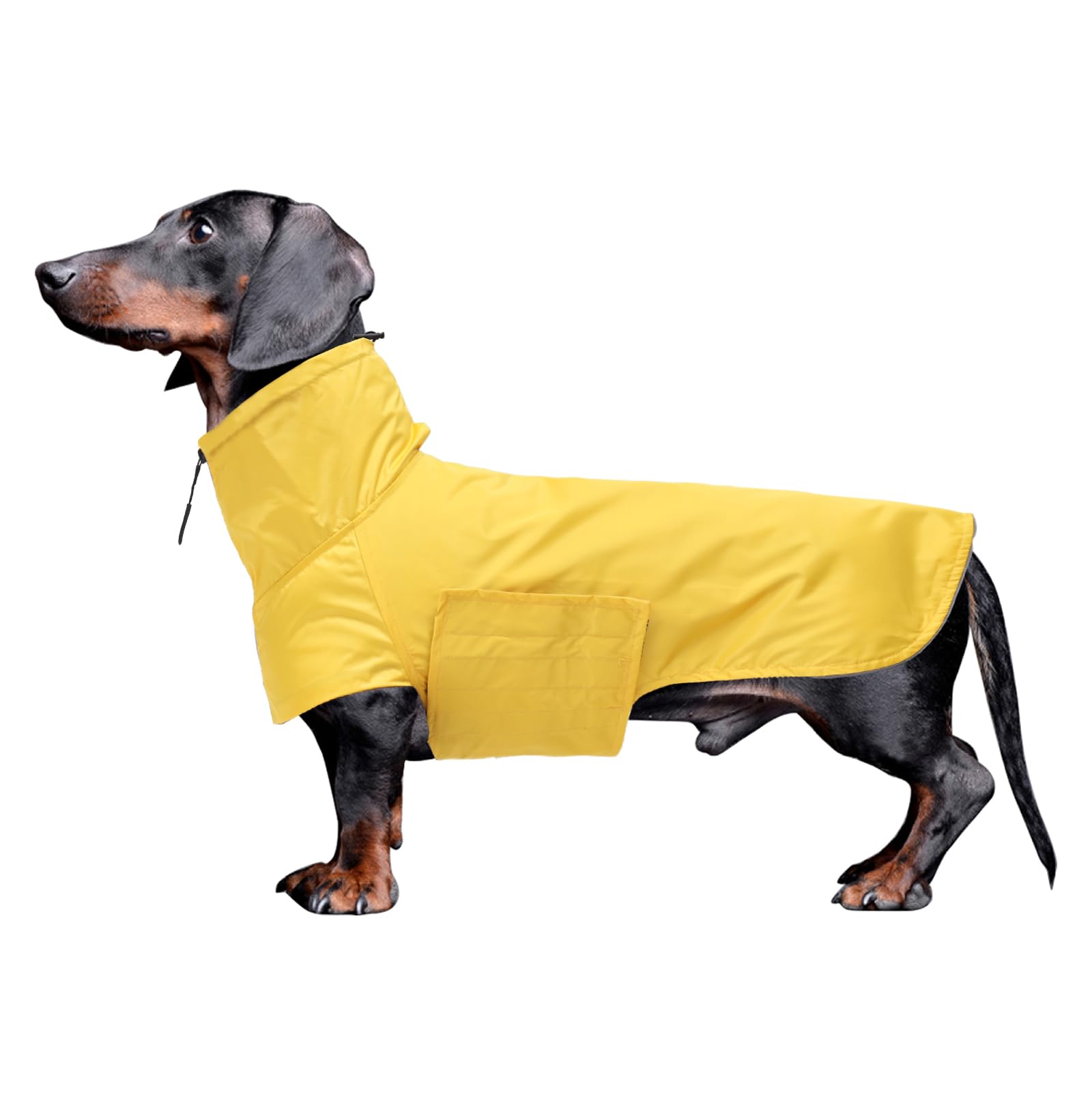 Geyecete Dachshund Raincoat,Miniature Dachshund Raincoat Waterproof Adjustable Dachshund Raincoat with High neck with Harness Hole for Dachshund-Yellow-S โ image 1