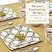 Silver Spoons Party Disposable 36 PC DINNERWARE Set Dinner Side Heavy Duty Paper Plates | for Upscale Wedding and Dining | Moroccan Collection, 18 Servings, Gold