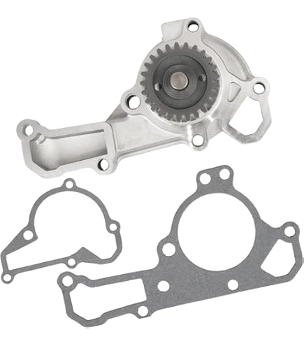 Amazon.com: Lesurey Water Pump Assembly 49044-1086 Compatible with