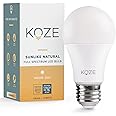KOZE Led Light Bulb Full Spectrum 5000K - Daylight Led Bulbs for Floor & Desk Lamp, 9W Equivalent, A19 CRI 97, E26 Bulb, 1-Pack