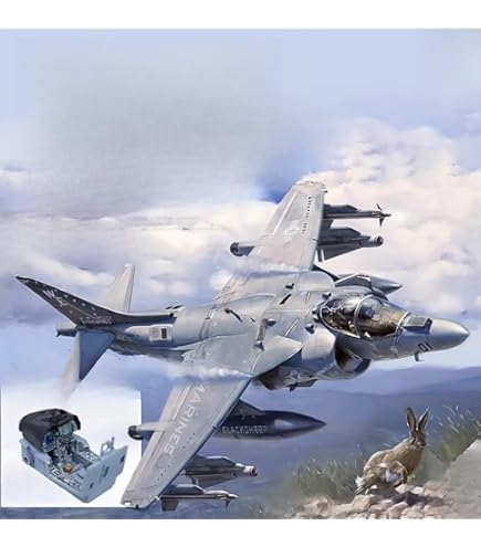 トランペッター 1/32 AV-8B ハリアーII 71QxrPJt0SL._UF350,350_QL50_.jpg