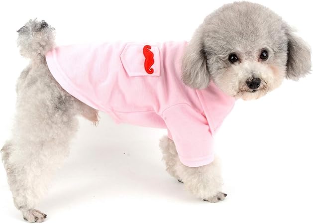 chihuahua clothes amazon