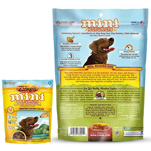 KONG Classic Dog Toy, Large, Red