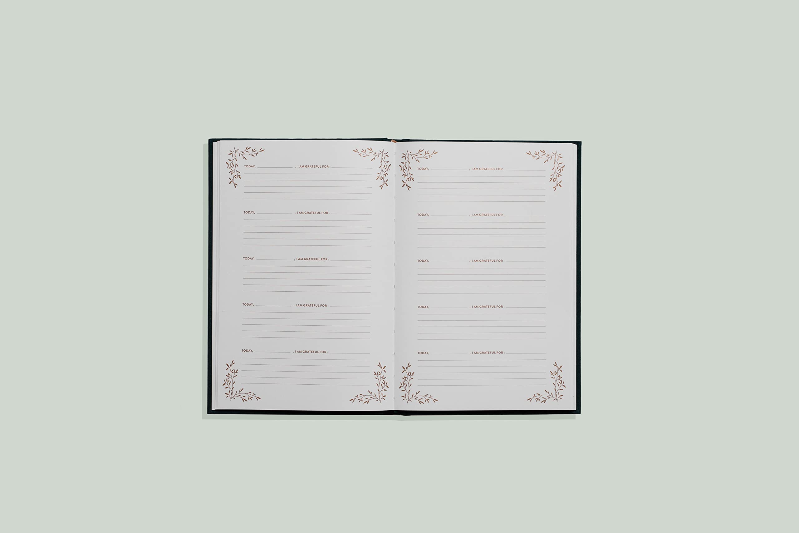 Grateful for You: A Mothers Journal to Write Letters to My Baby Keepsake Mom Memory Book and Journal to Children (Heirloom Story Books and Guided Journals)