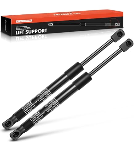 Amazon.com: A-Premium Rear Trunk Lift Supports Shock Struts