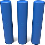 SO-VIDA Sous Vide Weights | Reduce Food Risk | Keep Bags Submerged | Better Performance vs Sous Vide Racks (3 Pack)