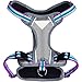 Blueberry Pet Soft & Comfy 3M Reflective Dog Harness Vest | Mesh Padded No Pull Dog Harness w/Back Clips | Multi-Colored Stripe - Violet and River Blue | Reflective Dog Harness for Large Dogs
