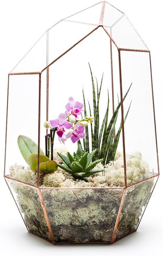 44cm HIGH EXTRA LARGE COPPER GEM TERRARIUM with LIVE SUCCULENT PLANTS Supplied fully assembled, also available with LED fairy lights and as an empty terrarium. High quality glass and copper construction L27cm x H44cm x W27cm Exclusive designer geometric terrariums from The Urban Botanist. Stylish room decorations for home, office, events, interior design schemes (Fully assembled with live succulent plants)