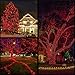 YULETIME 200 Count Red LED Christmas Lights, 66 Feet Green Wire UL Certified Commercial Grade Holiday String Light Set (Red)