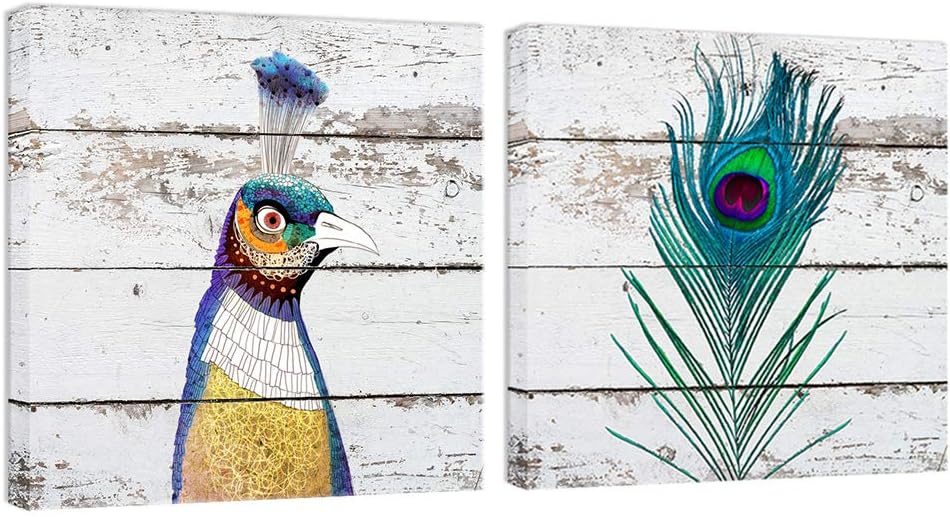 BOLUO Peacock Feathers Wall Art Canvas Painting Rustic Bathroom Decor Teal Blue Print Picture Vintage Wood Texture Prints Home Decoration 12x12x2pcs (KQ-2SET)
