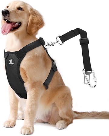 plush dog harness amazon
