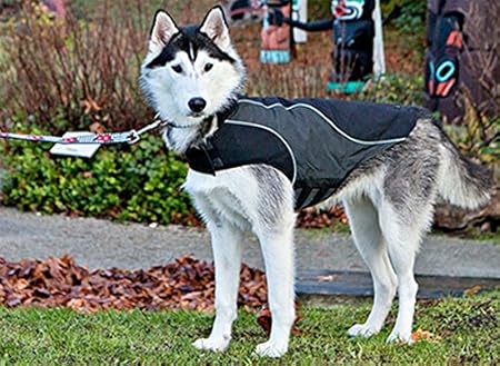 Amazon Com Rc Pet Products Trilogy Jacket 3 In 1 Dog Coat Water Resistant Fleece Reflective Size 10 Black Pet Supplies