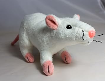 rat cuddly toy