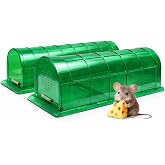 Humane Mouse Trap Indoor for Home, Live Catch and Release Rat Trap with Ventilated Chamber, 2 Pack Reusable No Kill Mice Trap Outdoor, Color: Green
