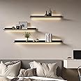 SUZEPER Floating Shelves with Led Lights,Floating Display Shelf with Built-in Illuminated Led Light,Metal Wall Mounted Shelves Set of 2,Hanging Display Rack Wall Shelf for Livingroom Kitchen Bathroom