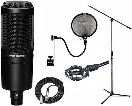 Audio Technica At2020 Condenser Mic Shock Mount Filter Xlr Boom Stand Amazon Ca Musical Instruments Stage Studio