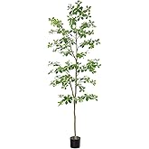 Bellacat Faux Black Olive Tree 7ft, Tall Faux Trees Indoor with Natural Trunk and Realistic Leaves. 7 Feet(84in) Artificial Tree for Home Office Décor.