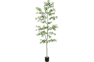 Bellacat Faux Black Olive Tree 7ft, Tall Faux Trees Indoor with Natural Trunk and Realistic Leaves. 7 Feet(84in) Artificial Tree for Home Office Décor.