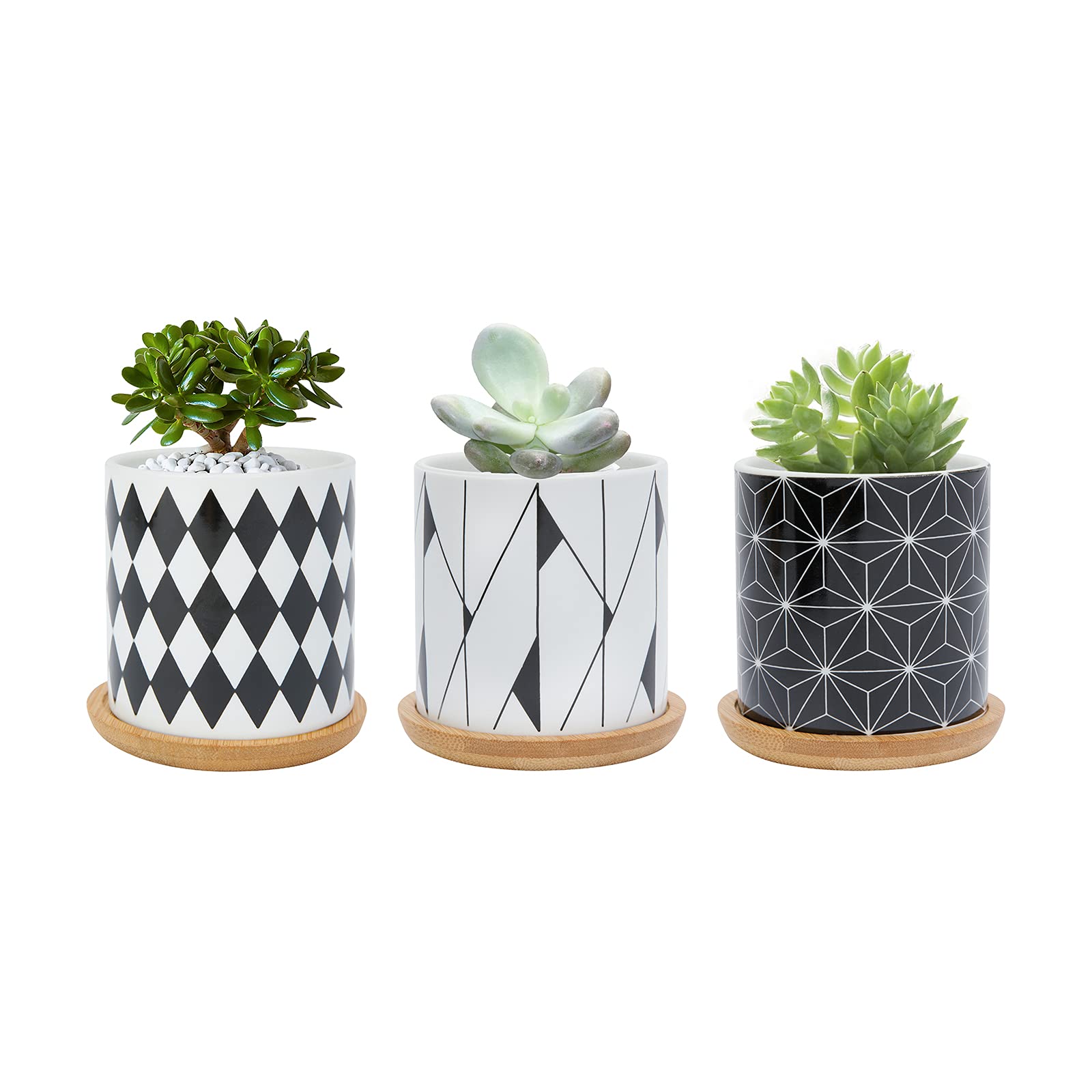 FORAGIFT 7.5CM Succulent Plant Pot, Ceramic Geometric Pattern Cactus Plants Pot, Small Plant Pots for Indoor Outdoor Plants with Bamboo Tray, and Great for Home Office Decor, Set of 3