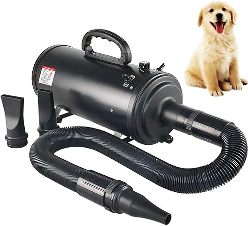 diamond care cat food