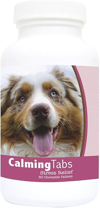 australian shepherd anxiety