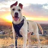 rabbitgoo Dog Harness Large No Pull Reflective Adjustable Easy Control Handle view 9