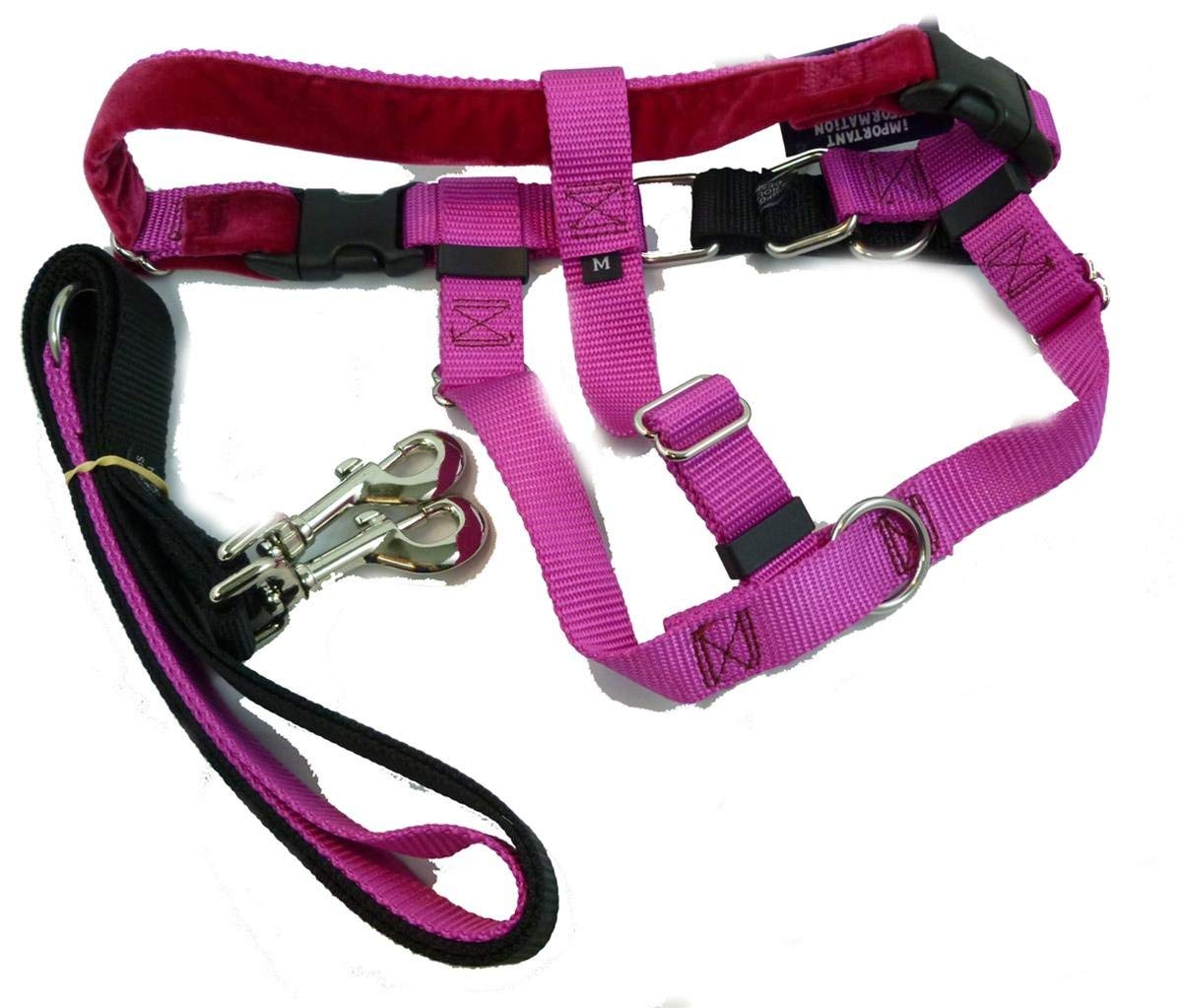 2 Hounds Design PK 1SM RASP Freedom NoPull Harness with Leash, (1 2 Hounds Design PK 1SM RASP Freedom NoPull Harness with Leash, (1