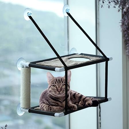 amazon cat window bed