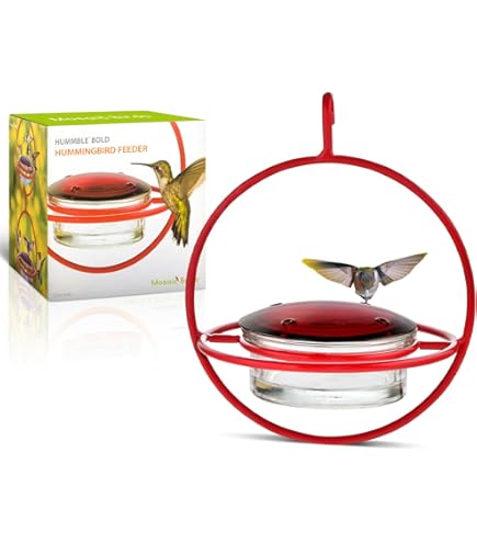 Amazon.com: Collections Etc Wild Outdoor 5 oz. Hummingbird Feeder