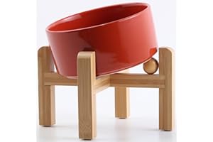 Petygooing Elevated/Raised 15°Slanted Ceramic Dog Bowl for Small and Medium Breeds, Tilted Anti Slip Pet Feeding Bowl,Food Water Dish with Stand for Cats and Dogs (28 OZ/3.6 Cups) Rust Red