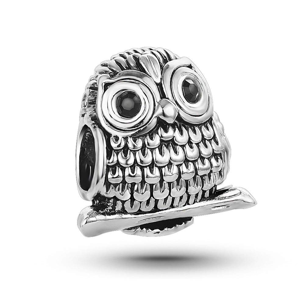 KunBead Jewelry Owl Animal Graduation Bead Charms for Women Girls Mothers Day Charm for Mum
