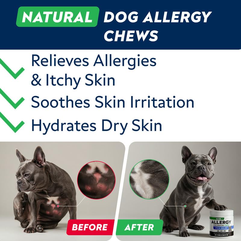 StrellaLab Dog Allergy Relief & Anti Itch Support Chews w/Omega 3: Real Ingredients, Real Taste! Skin & Coat Immune w/Fish Oil, Pumpkin & Enzymes — Developed by Experts - Made in USA - 60Ct