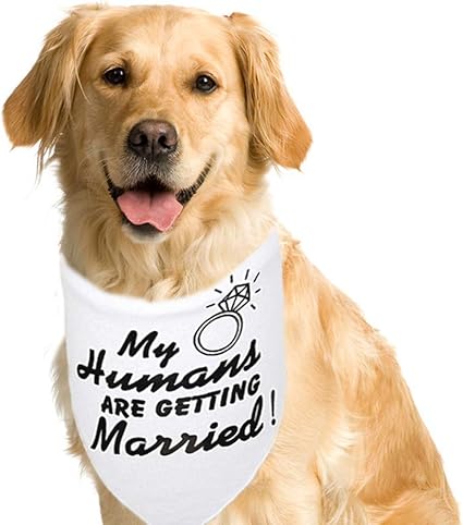 vtech care for me learning