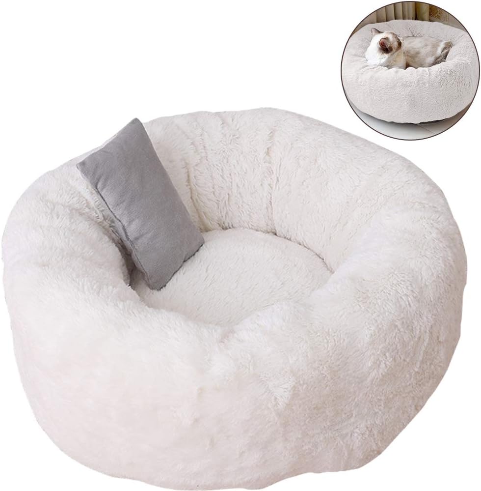 Best Raised Garden Bed White 7Ft X 4 Ft