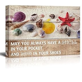 Marine Theme Canvas Wall Art - Beautiful Seashells - Giclee Print Modern Wall Art | Stretched Gallery Wrap Ready to Hang Home Decoration - 12x18 inches