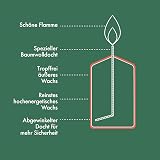 Bolsius Beige Pillar Candles 4-Pack 8 x 6 cm Unscented Long 17h view 2