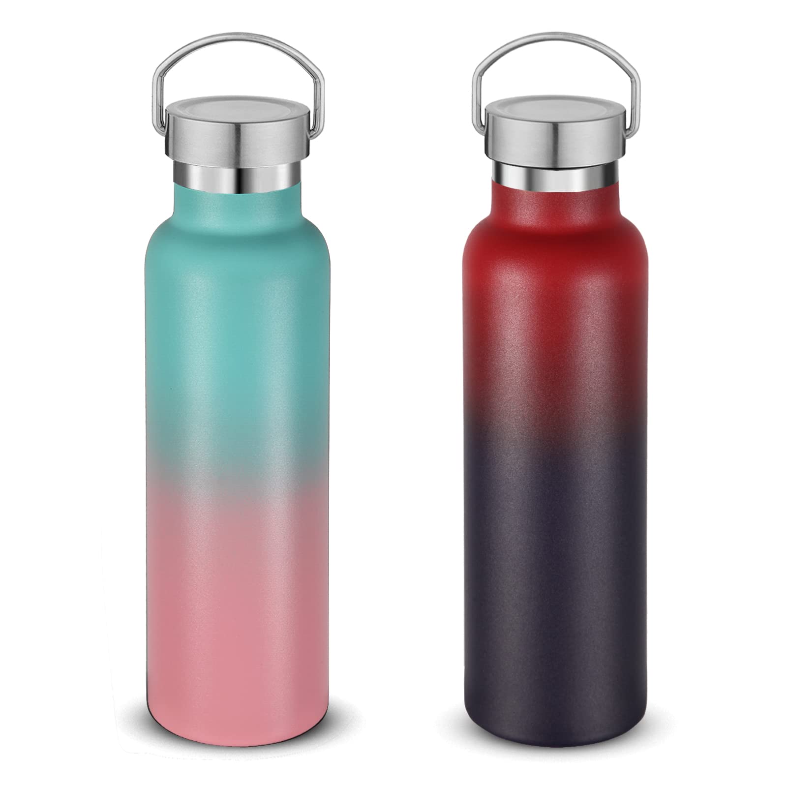 Volhoply 600ml Insulated Water Bottles Bulk Two Pack,Stainless Steel Double Wall Sport Bottle with Lid of Handle,Metal Reusable Flask for School,Cyclists,Hikers,Gift (Assorted,Set of 2)