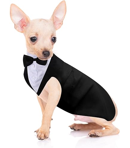 Chubasquero Teckel Traje De Esmoquin Para Perro Elegante Para