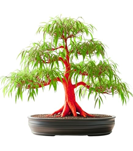 stand for plants indoor Mini 2-Inch Wood Indoor Plant Stand & Pot main image 1